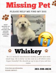 Lost Male Dog last seen Jewell & federal blvd, Denver, CO 80219