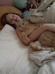 Lost Male Cat last seen Aileen St and Broadway, Denton, TX 76201