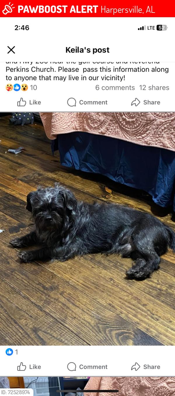 Lost Male Dog last seen Hwy 280 & Sun Valley Road Harpersville Al, Harpersville, AL 35078