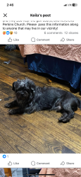 Lost Male Dog last seen Hwy 280 & Sun Valley Road Harpersville Al, Harpersville, AL 35078