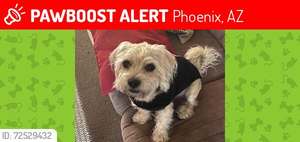 Lost Male Dog last seen unknowan, Phoenix, AZ 85003