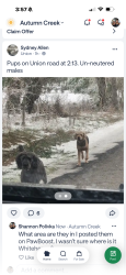 Lost Male Dog last seen Union rd at 2:15, White House, TN 37188