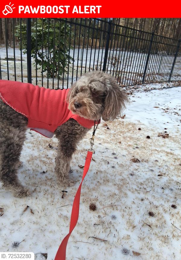 Lost Female Dog last seen New Hope Church Road and Old NC 86., Walnut Grove Rd, NC 27565