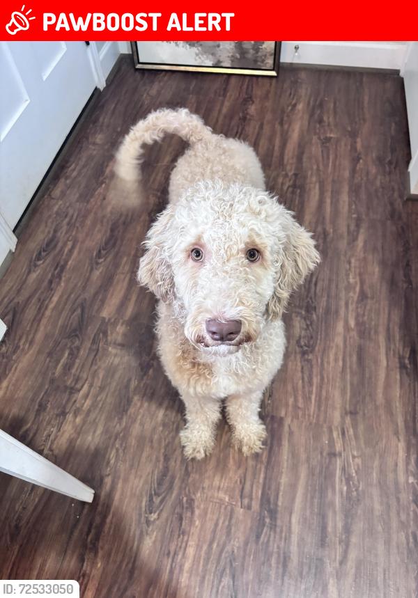 Lost Male Dog last seen Kimberly Dr, Doris Dr, Anderson County, SC 29642