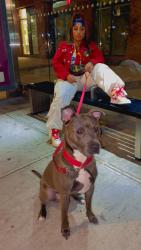 Lost Male Dog last seen Delancey, New York, NY 10002