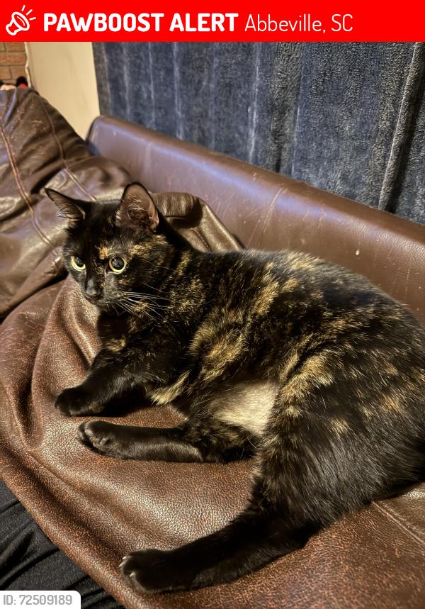 Lost Female Cat last seen Donald’s SC, Abbeville, SC 29620
