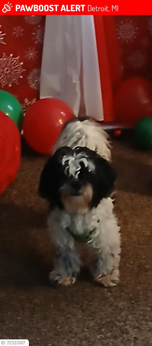 Lost Male Dog last seen Gratiot , Detroit, MI 48205