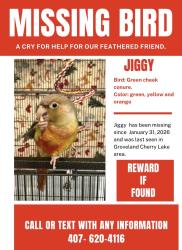 Lost Female Bird last seen Cherry lake rd in groveland fl , Groveland, FL 34753