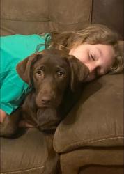 Lost Female Dog last seen Near near browns rv superstore , McBee, SC 29101
