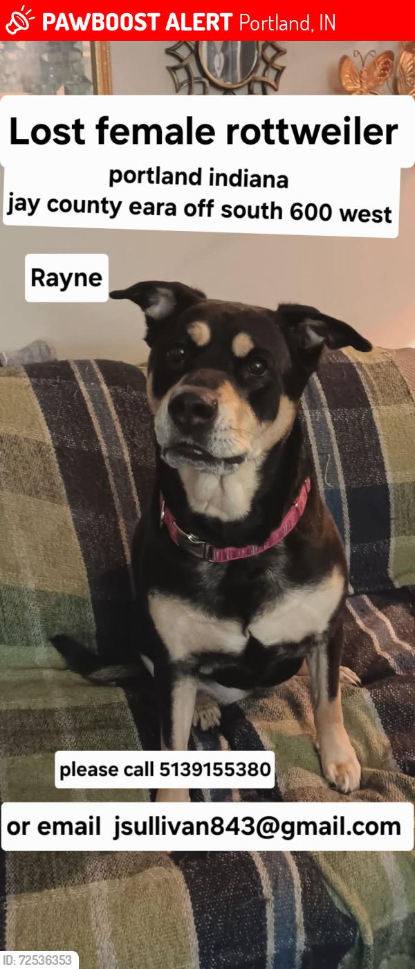 Lost Female Dog last seen State Rt 28, Portland, IN 47371