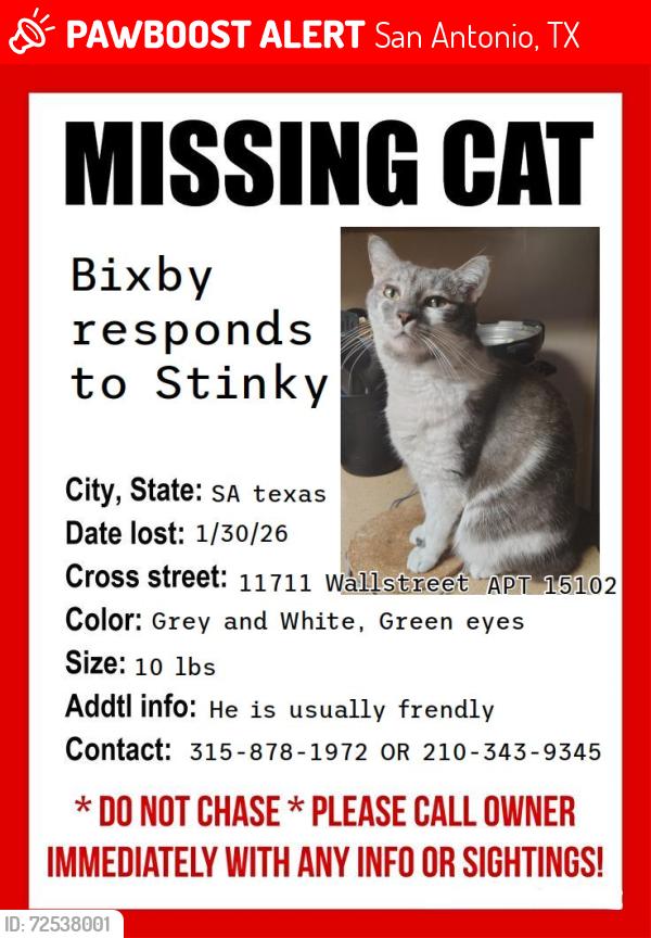 Lost Male Cat last seen Sutton house Appartments, San Antonio, TX 78230