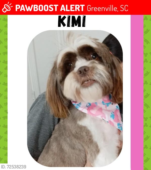 Lost Female Dog last seen Near Daniel ave , Greenville, SC 29611