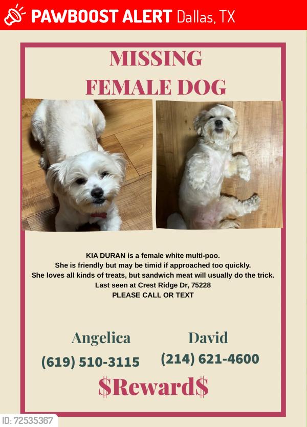 Lost Female Dog last seen Near crest ridge Dr dallas Texas 75228, Dallas, TX 75228