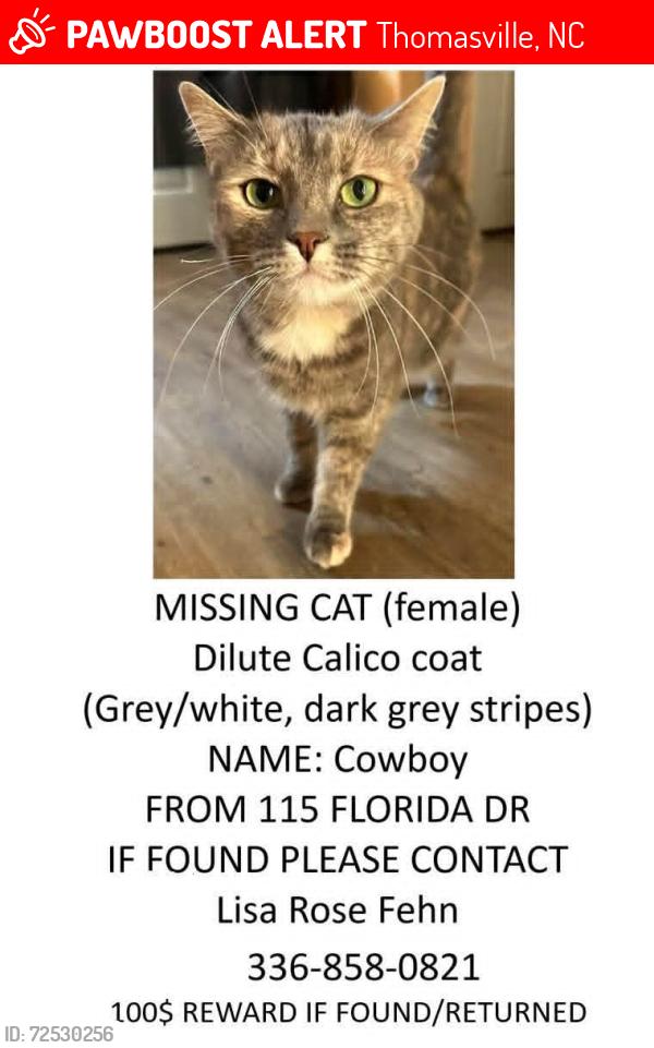 Lost Female Cat last seen Unity Street/County Line Rd, Thomasville, NC 27360
