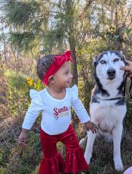 Lost Female Dog last seen Hastings , Hastings, FL 32145