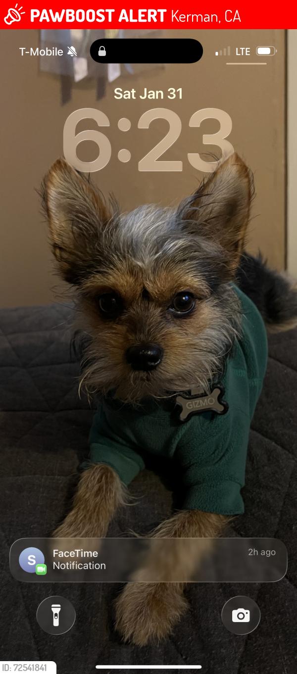 Lost Male Dog last seen Jensen, Madera, Kerman, CA 93630