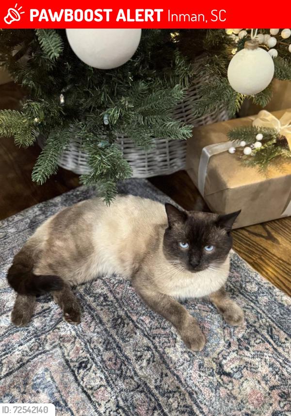 Lost Male Cat last seen Shadow Creek Dr &New Cut Rd, Inman, SC 29349
