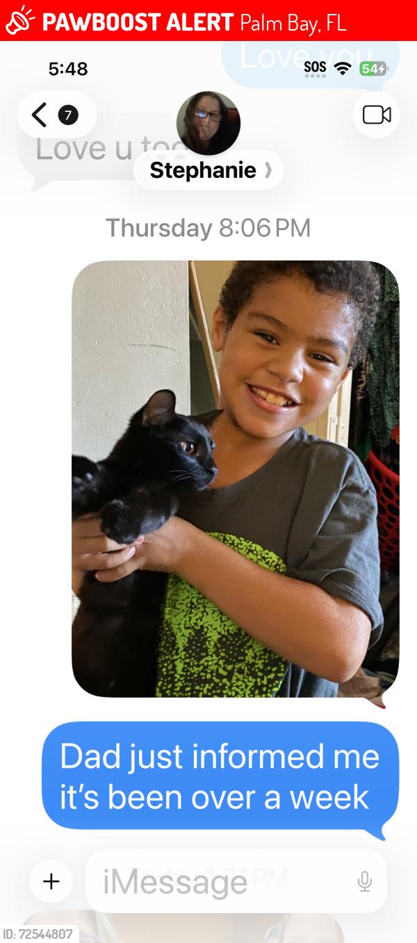 Lost Female Cat last seen Riviera and Ethel , Palm Bay, FL 32905
