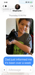 Lost Female Cat last seen Riviera and Ethel , Palm Bay, FL 32905