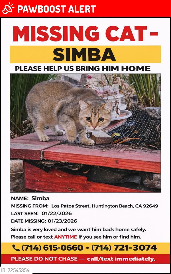 Lost Male Cat last seen Bolsa Chica and Los Patos ave, Huntington Beach, CA 92649