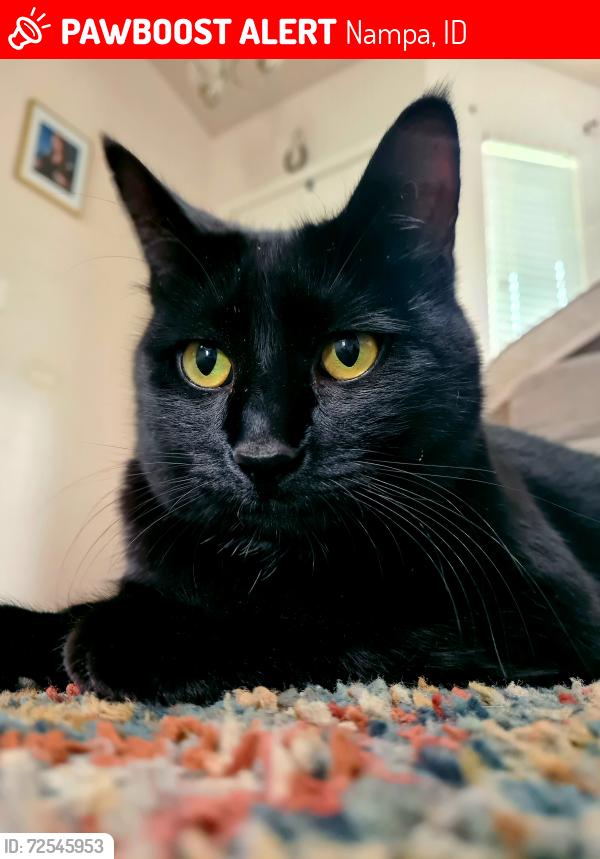 Lost Male Cat last seen Middleton near Karcher, Nampa, ID 83651