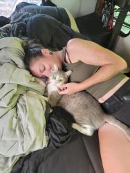 Lost Male Cat last seen 296th St and 172nd Ave., Homestead, FL 33030