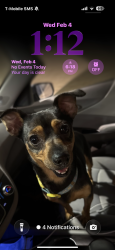 Lost Male Dog last seen N INSPIRATION RD , Barnes st , Mission, TX 78572