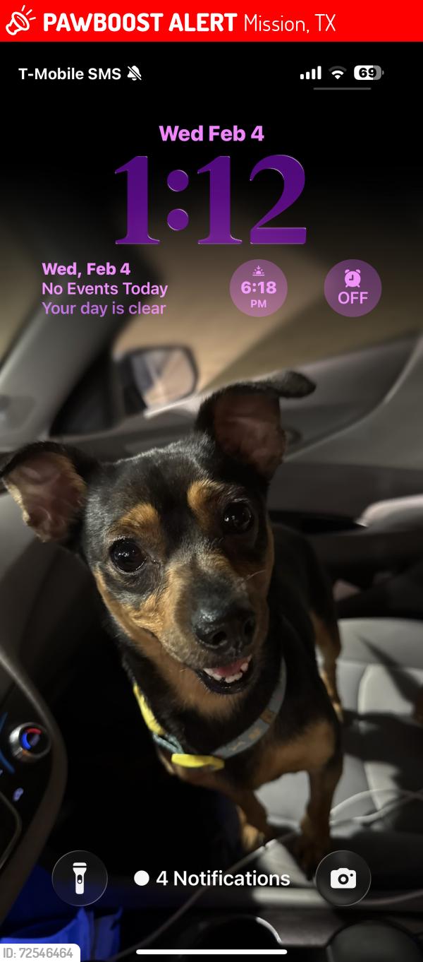 Lost Male Dog last seen N INSPIRATION RD , Barnes st , Mission, TX 78572