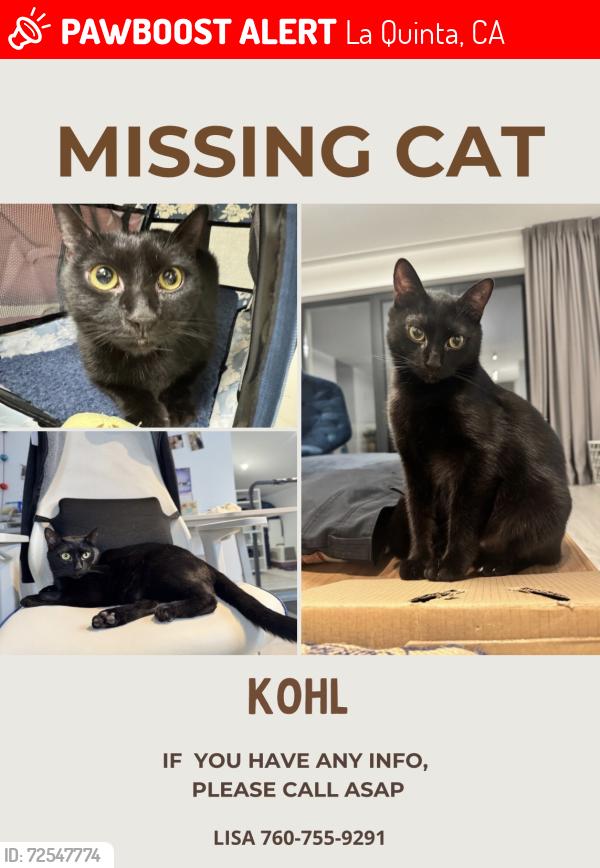 Lost Male Cat last seen Star Flower, Dune Palms , La Quinta, CA 92253