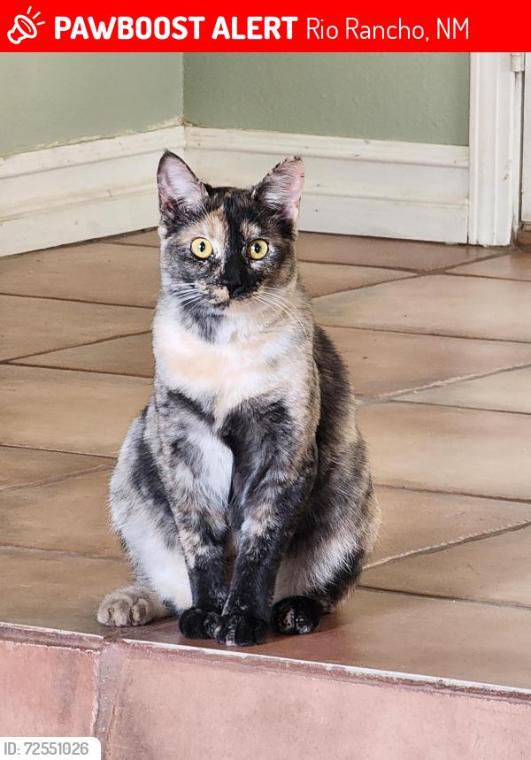 Lost Female Cat last seen Emerald and Aquamarine , Rio Rancho, NM 87124