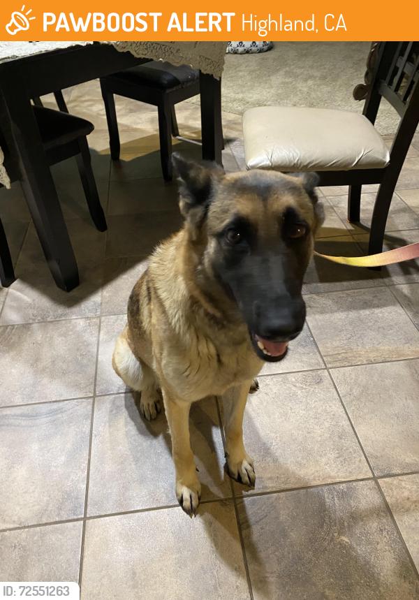Found/Stray Female Dog last seen Greenspot road and church street, Highland, CA 92346