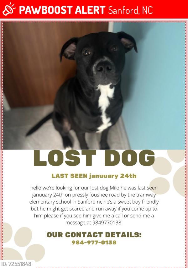 Lost Male Dog last seen Henley rd and center church rd , Sanford, NC 27330