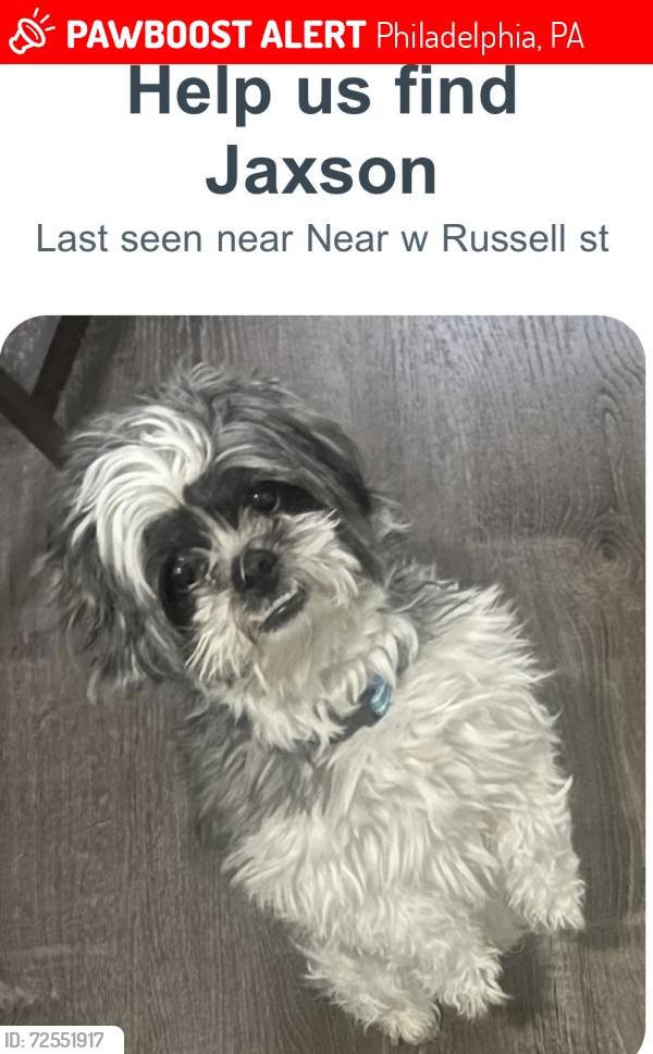 Lost Male Dog last seen I’m not sure dog sitter had him., Philadelphia, PA 19140
