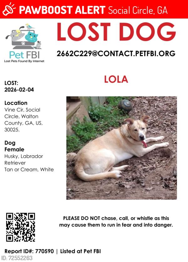 Lost Female Dog last seen vine circle and east hightower, Social Circle, GA 30025