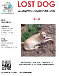 Lost Female Dog last seen vine circle and east hightower, Social Circle, GA 30025