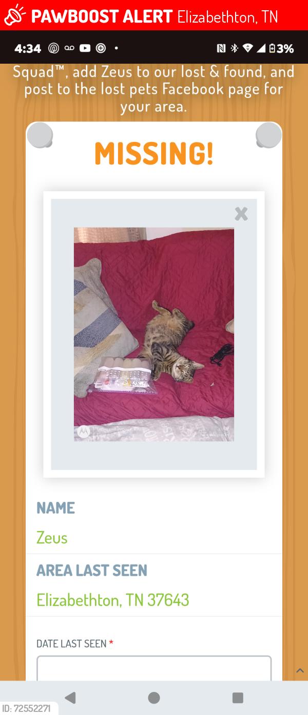 Lost Male Cat last seen By the redi mart in Siam , Elizabethton, TN 37643