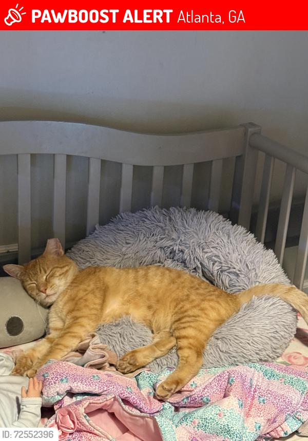 Lost Male Cat last seen Drew Valley Road, Atlanta, GA 30319