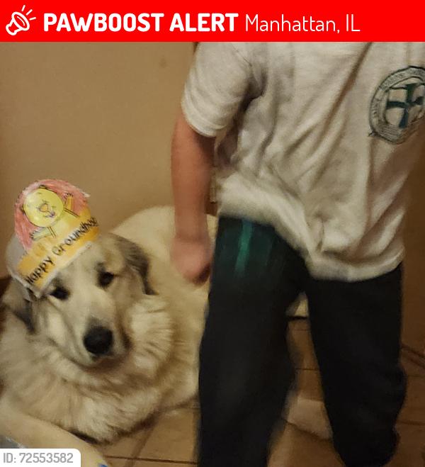 Lost Female Dog last seen Cedar and bruns, Manhattan, IL 60442