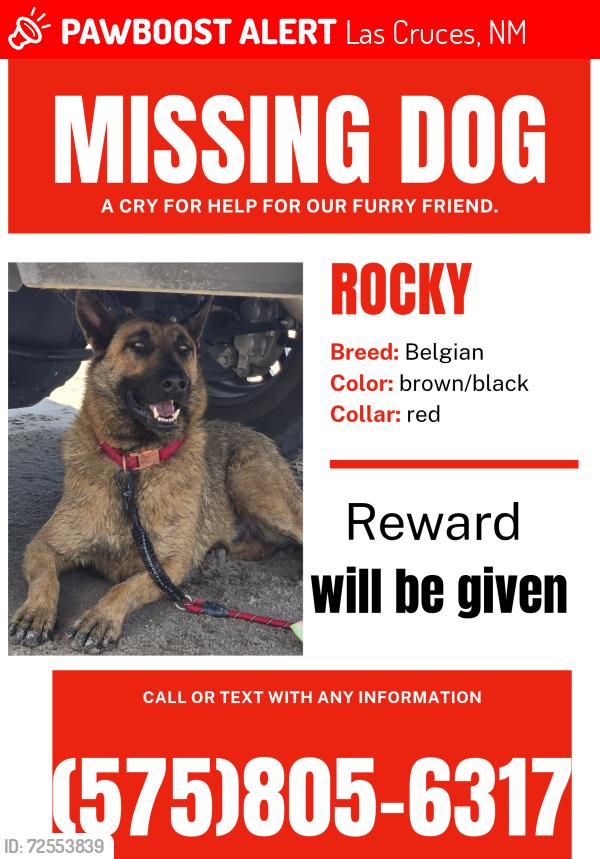 Lost Male Dog last seen Picacho ave , Las Cruces, NM 88001