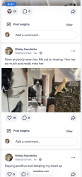 Lost Female Cat last seen Oakland park ave , Columbus, OH 43224