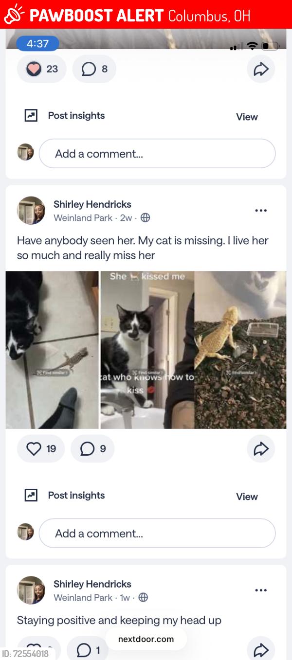 Lost Female Cat last seen Oakland park ave , Columbus, OH 43224