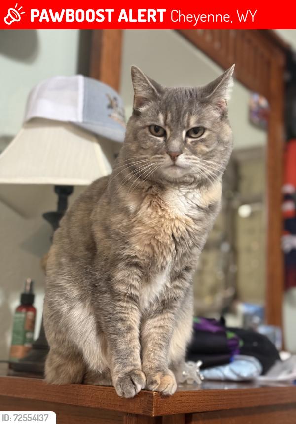 Lost Female Cat last seen Legacy Ridge subdivision , Cheyenne, WY 82009