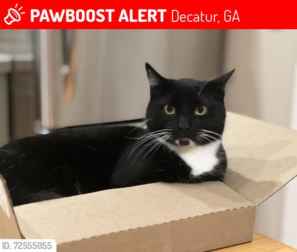 Lost Male Cat last seen McDonough, Decatur, GA 30030