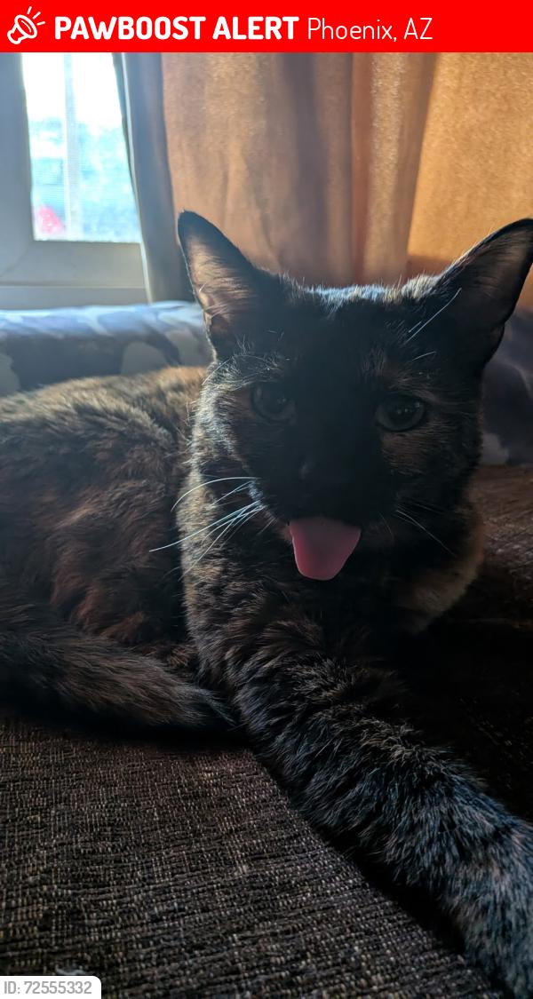 Lost Female Cat last seen 61st LN and Berkeley , Phoenix, AZ 85035