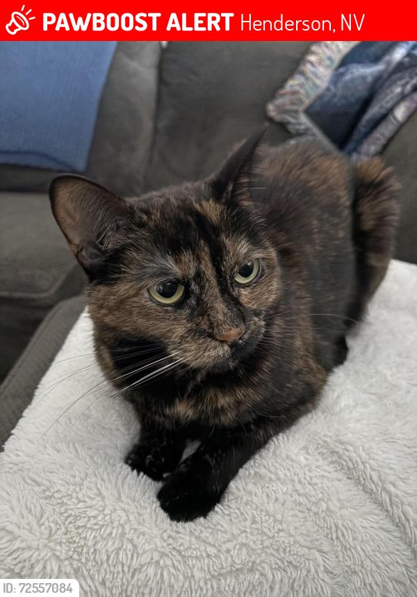 Lost Female Cat last seen Carnegie and horizon ridge , Henderson, NV 89052