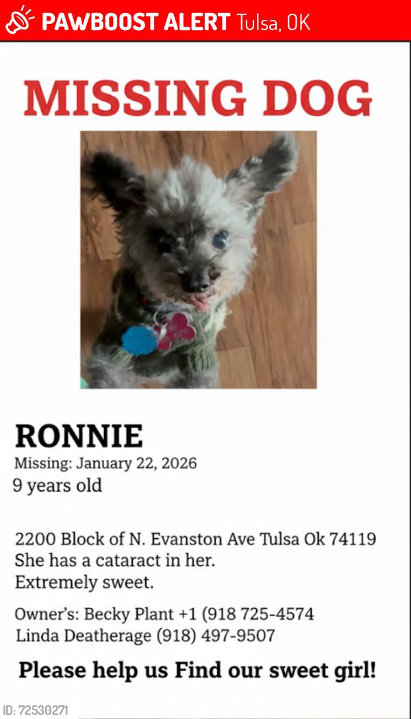 Lost Female Dog last seen Near N. Evanston , Tulsa, OK 74110