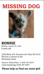 Lost Female Dog last seen Near N. Evanston , Tulsa, OK 74110