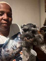 Lost Female Dog last seen Ryan rd, Orangeburg, SC 29118