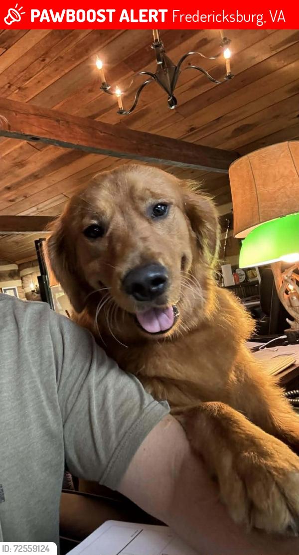 Lost Male Dog last seen Revell Road & River Farm Dr, Fredericksburg, VA 22405