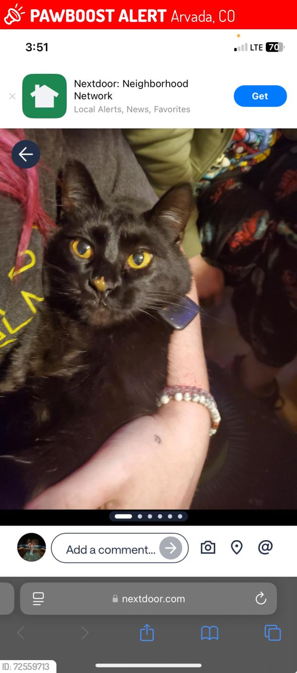 Lost Female Cat last seen 75th and Kipling, Arvada, CO 80005